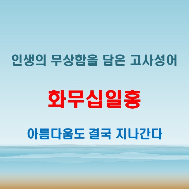 화무십일홍 뜻 이 또한 지나가리라로 풀어보는 삶의 변화와 순환
