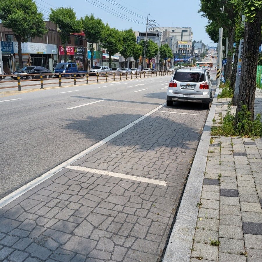 레드캐비지 사진 4
