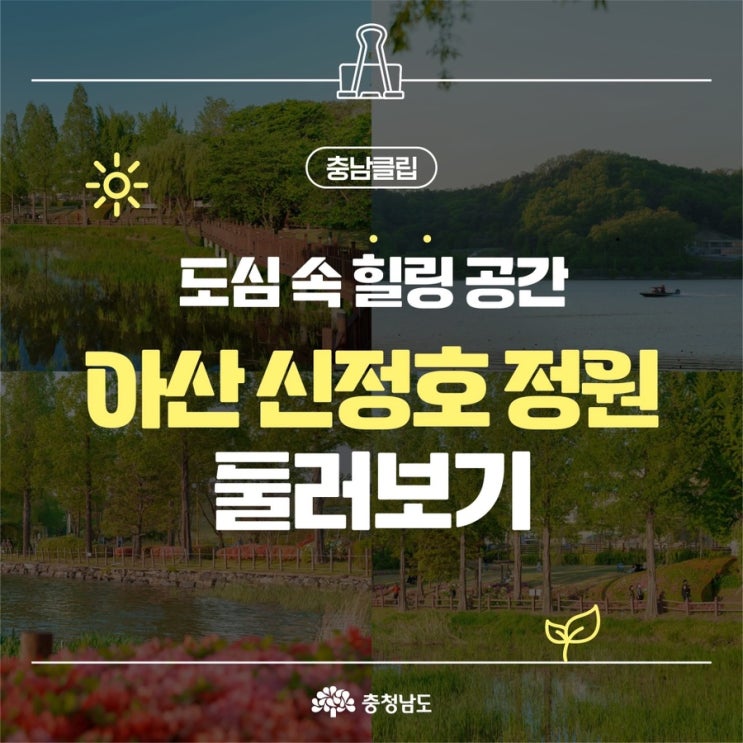충남 가볼만한곳 도심 속 힐링 공간 아산 신정호 정원 | 충남도청페이스북