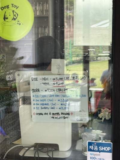 사진 6