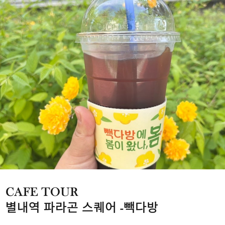  별내역 파라곤 스퀘어 카페 빽다방아샷추 할인해요