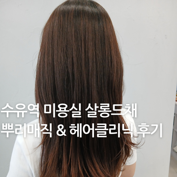  수유역미용실 살롱드채 뿌리매직과 헤어클리닉 후기 : 유리쌤 시술로 윤기나는 머릿결 완성!