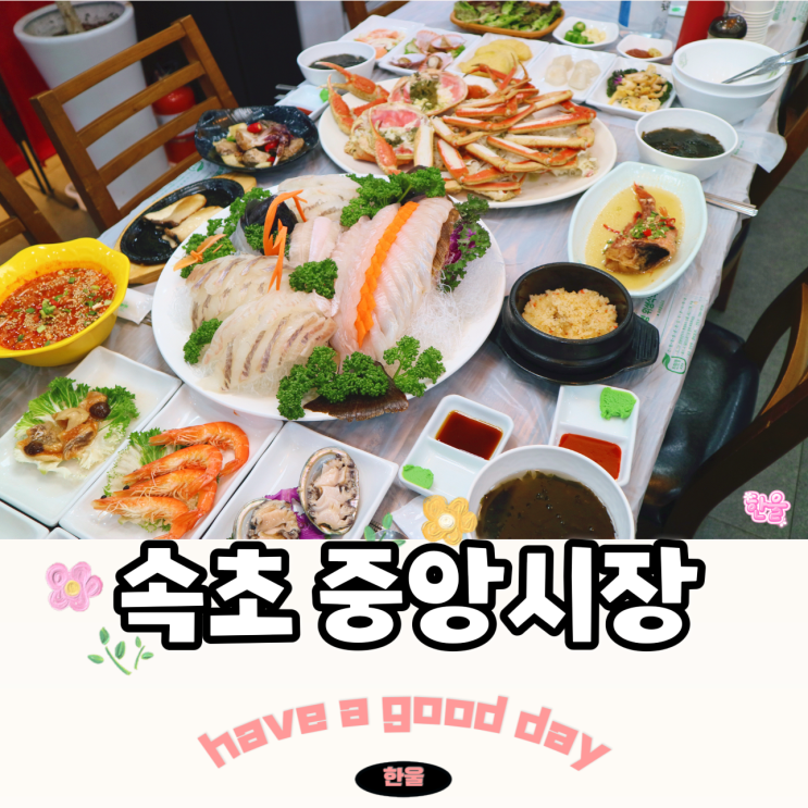  속초 중앙시장 맛집 테이블 가득 해산물 강원도 속초 맛집 이모회집