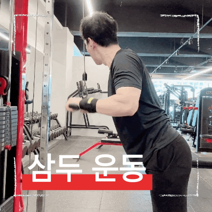  헬스 케이블 삼두 운동 방법 및 포인트