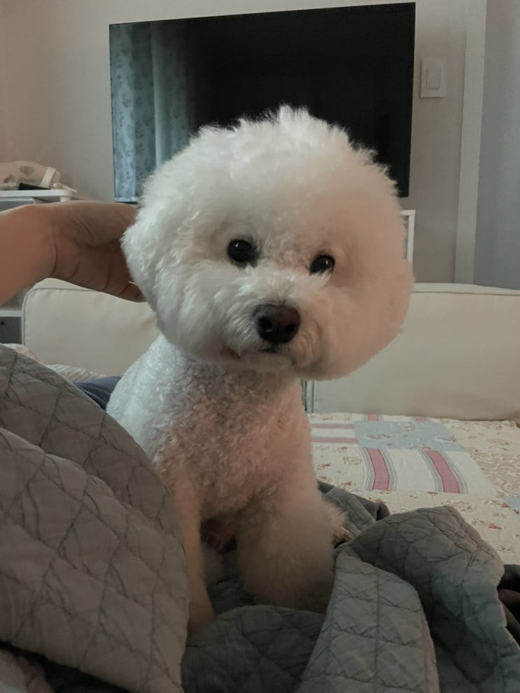  강릉여행