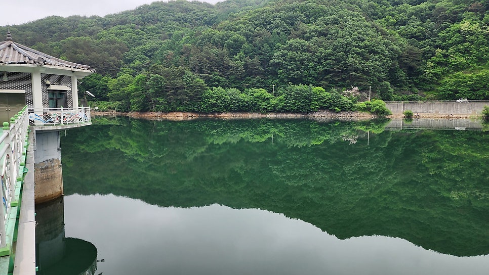 도림저수지 사진 3