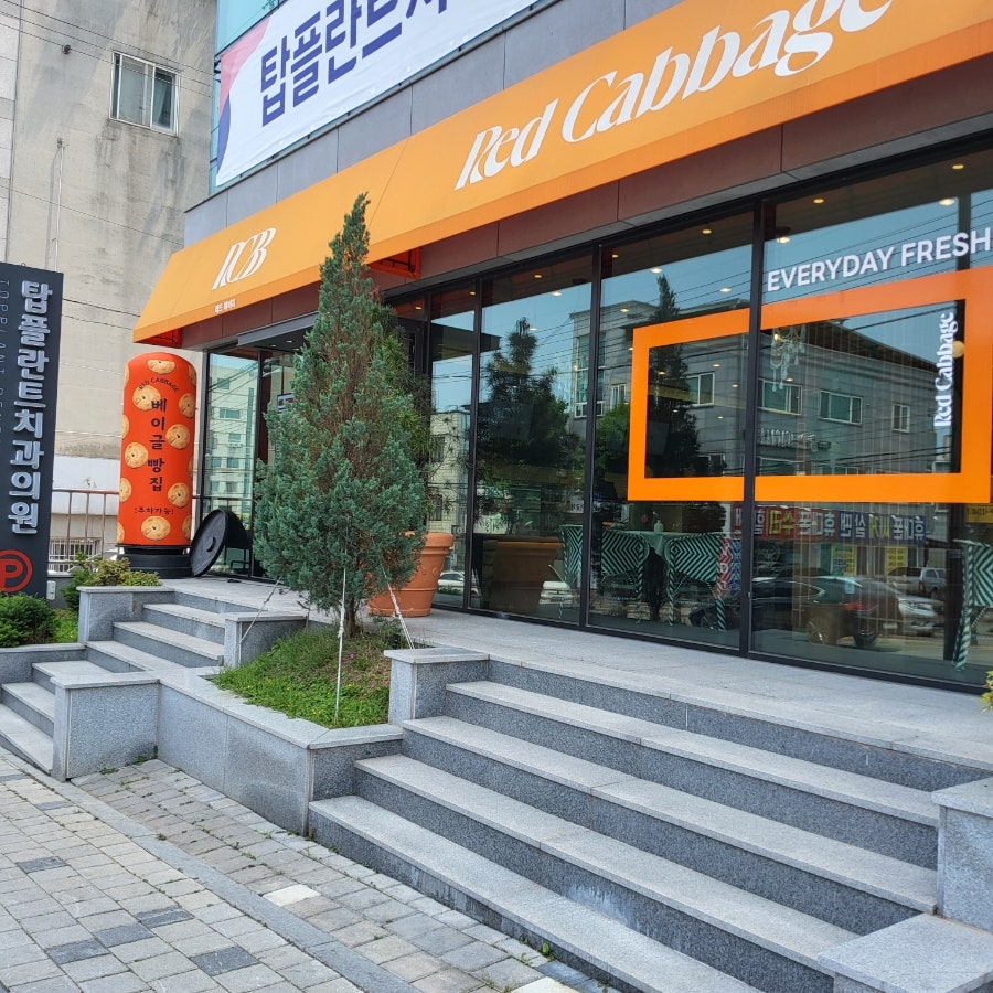 레드캐비지 사진 2