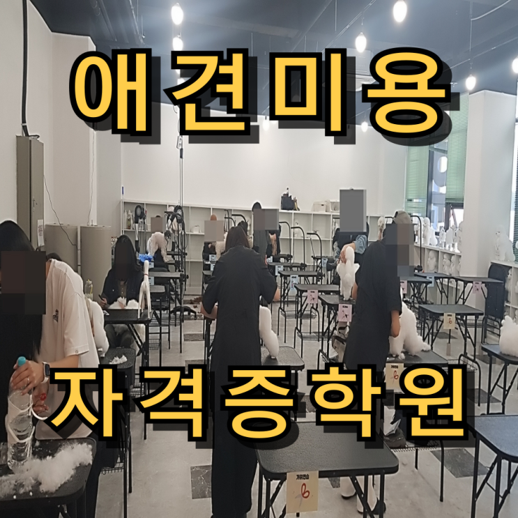  강남애견미용학원 은퇴 후 창업으로 추천