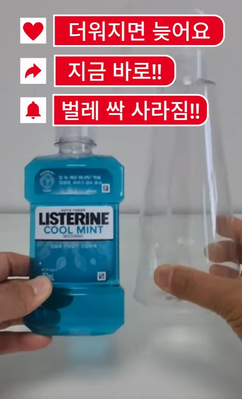 초간단 초파리 퇴치제 + 초간단 하수구 벌레 퇴치제 만들기 : 살충제 없이 없애는 현실 꿀팁!!