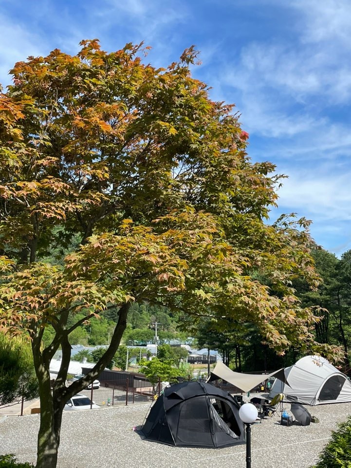 사진 3