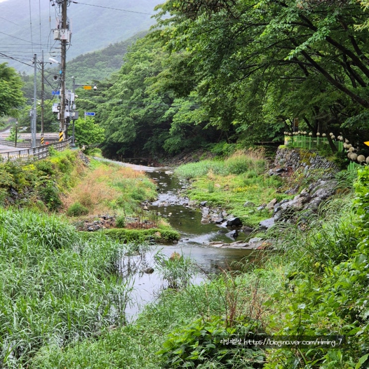  울산 울주 펜션 여름 계곡 놀 거리 많은 산머루산장