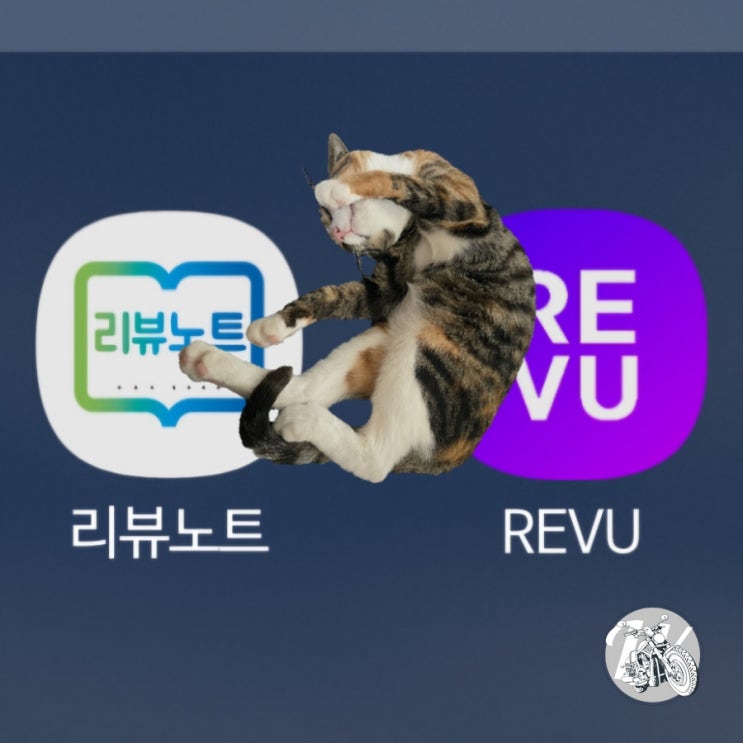  블로그체험단 리뷰노트 레뷰 비교 분석 블린이 모여라