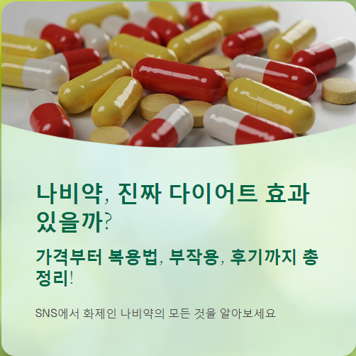  나비약 가격부터 복용법, 부작용, 후기까지 총정리!!