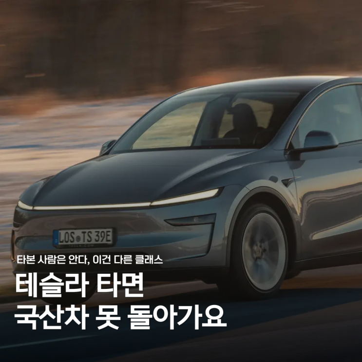  국산차 돌아갈 수 없다? 테슬라 타본 사람들의 공통 반응