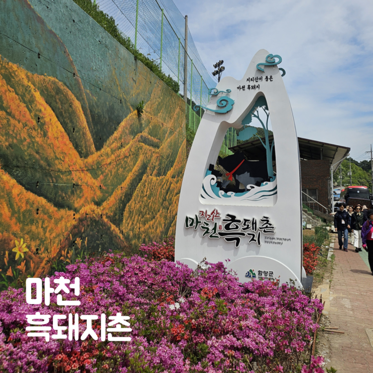  함양 마천흑돼지촌 양조장 지리산 마천골 산나물 축제