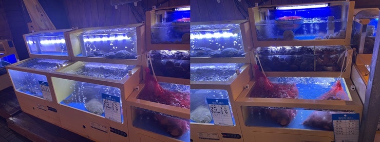 노랑물고기 관평점 사진 2