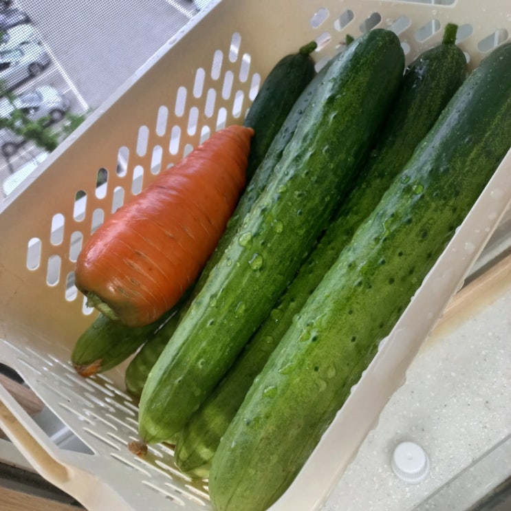  10분 요리 제육볶음, 두루치기 무슨 차이일까?