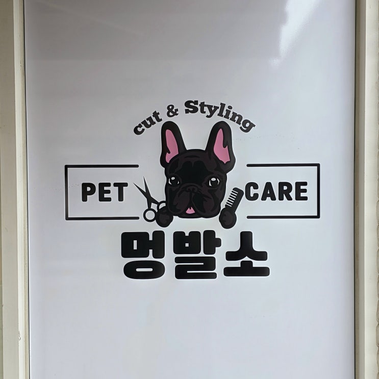  전주 중화산동 멍발소 강아지미용 노견미용도 안심하고 맡길 수 있는 곳