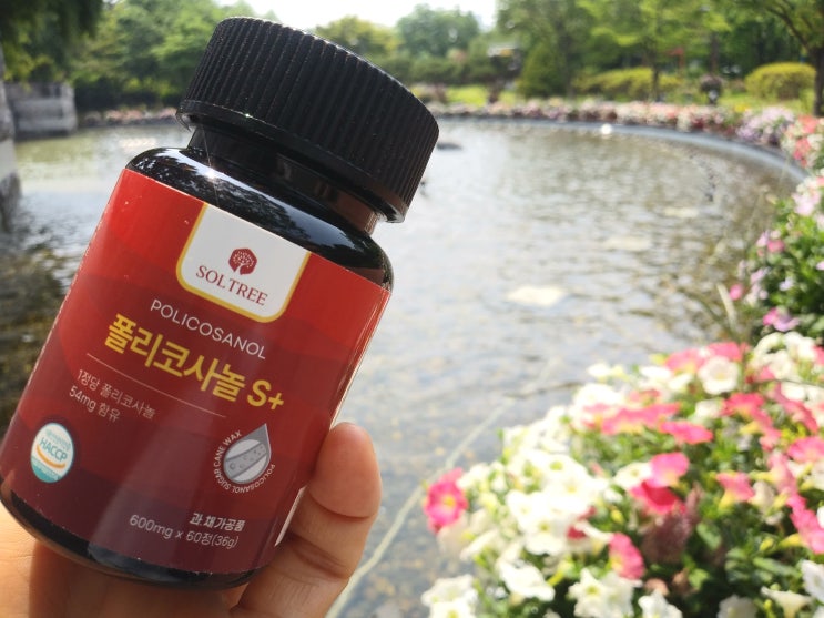 솔트리 쿠바산 폴리코사놀 S+ 54mg, 건강 관리의 새로운 시작! 솔트리 쿠바산 폴리코사놀 S+ 54mg, 건강 관리의 새로운 시작!