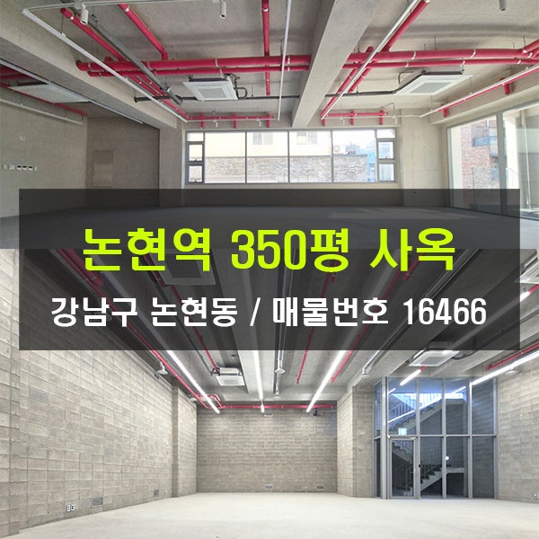  논현역사옥 임대 350평 층고높고 화사한 사옥 엔터사옥 논현동