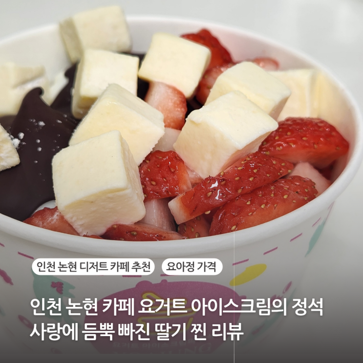  인천 논현 카페 추천 요거트아이스크림의 정석 요아정 가격 꿀조합 찐리뷰