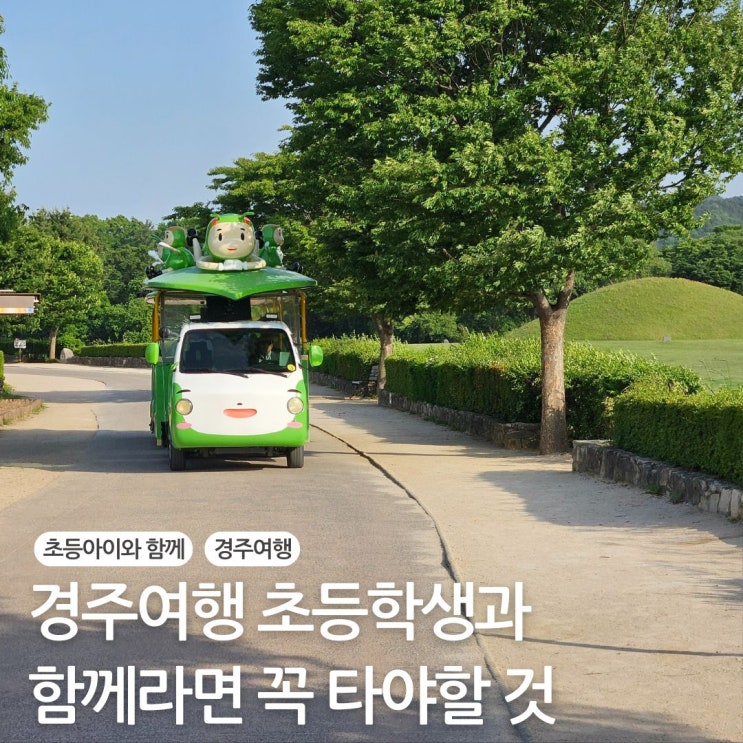  초등학생과 경주 여행 중이라면 꼭 타야할 <비단벌레전동차>