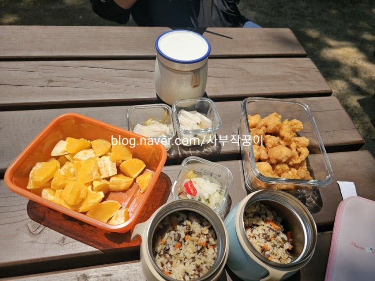  공원 나들이  아이 도시락준비 볶음밥 (소고기당근감자볶음밥)