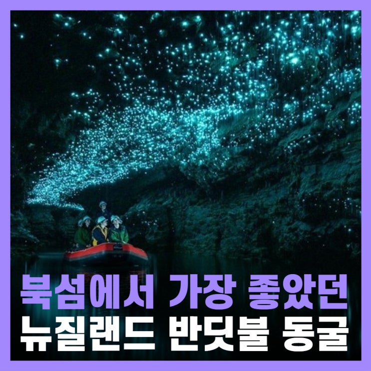  뉴질랜드 북섬 여행 와이토모 반딧불이 투어 후기