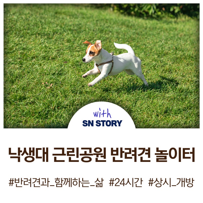 사진 2