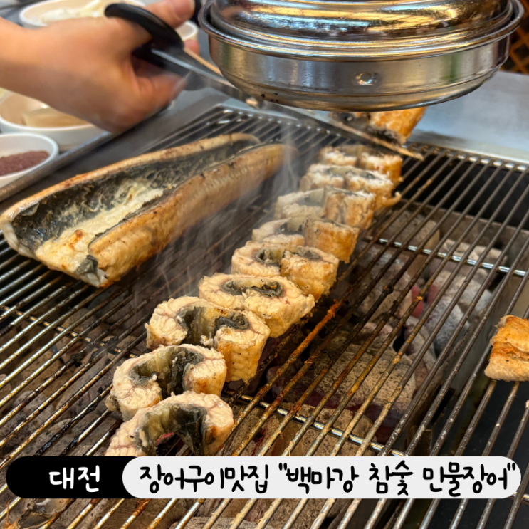  대전 맛집 여름철 보양식 대전 장어구이 맛집 백마강참숯민물장어