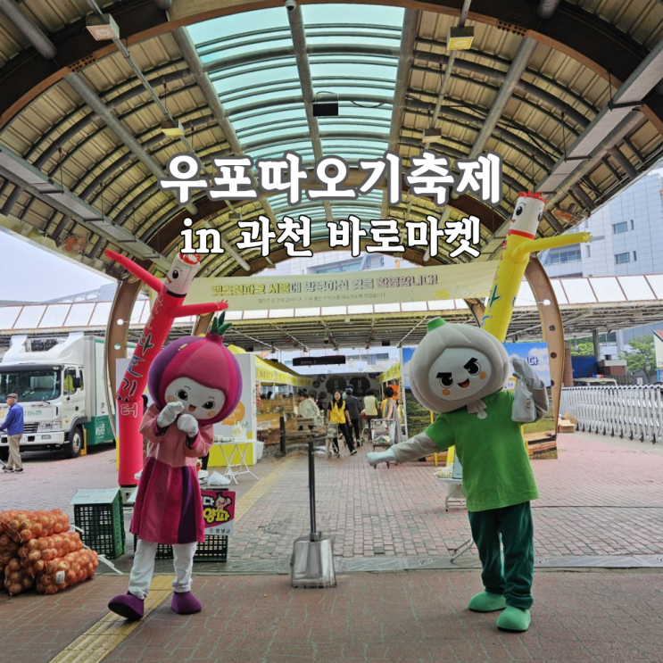 과천 바로마켓, 우포따오기축제 구매템 best 6 과천 바로마켓, 우포따오기축제 구매템 best 6