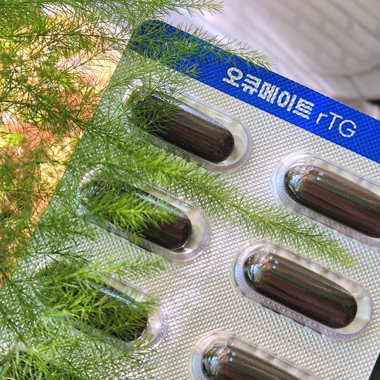  건강기능식품 루테인 애드온미 오큐메이트 rTG 오메가3(눈 건강 필수템)
