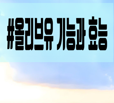  올리브유의 종류과 효능