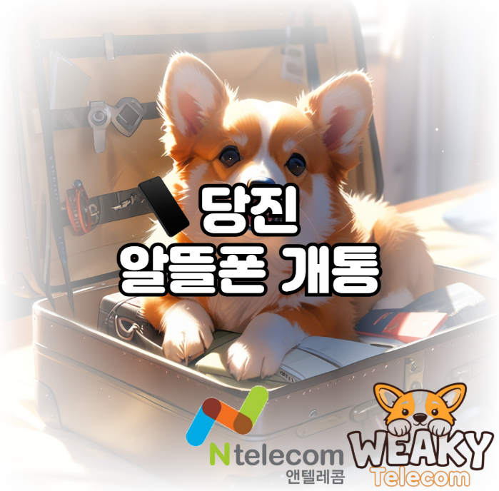  당진 알뜰폰 개통을 원하는데 대리점에 방문할 시간이 없다면?
