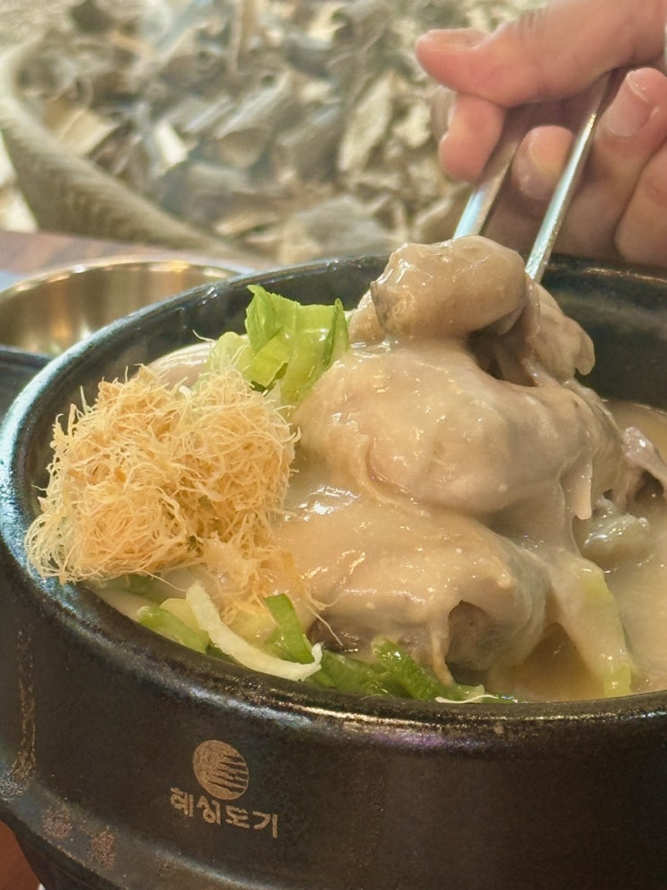  강남삼계탕맛집 솔직후기!녹두 삼계탕에 수비드 닭고기까지!?