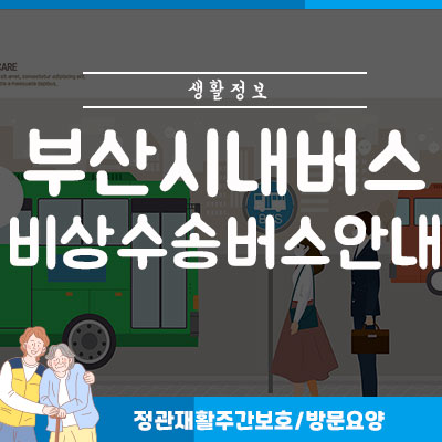부산 <b>시내버스</b> 파업과 비상 <b>버스 운행</b> 안내