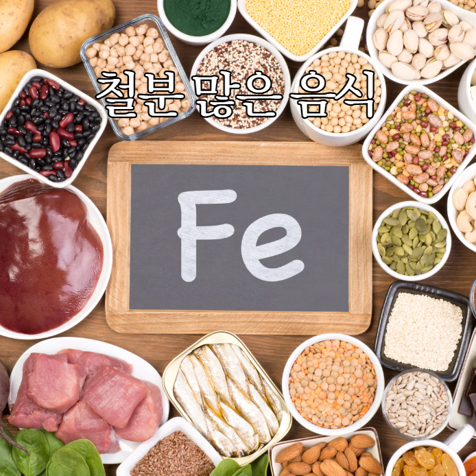  철분 많은 음식 10가지 총정리