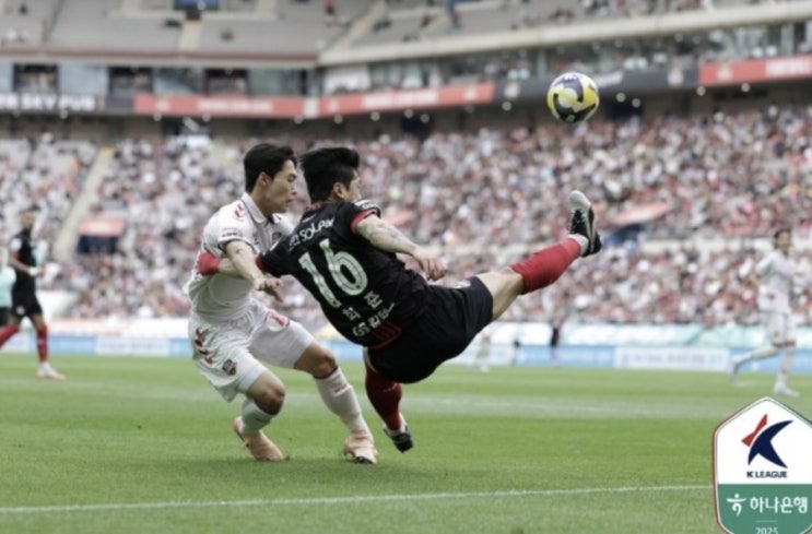 2025시즌 K리그 국내 프로축구 16라운드 김천상무 FC서울 강원FC FC안양 광주FC 울산현대 2025시즌 K리그 국내 프로축구 16라운드 김천상무 FC서울 강원FC FC안양 광주FC 울산현대