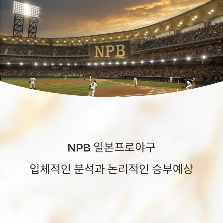  5월 28일 NPB 일본프로야구 입체적인 분석과 논리적인 승부예상