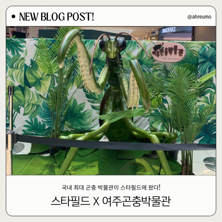  고양 스타필드에서 만나는 국내 최대 곤충 박물관! 여주곤충박물관 팝업스토어 완벽정리