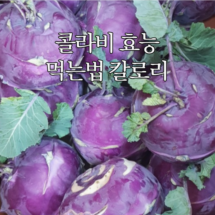  콜라비 효능 먹는법 칼로리 다이어트