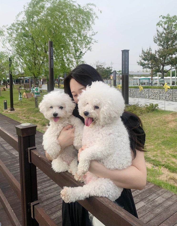  대구 근교 애견 동반 의성 펫월드 방문 후기
