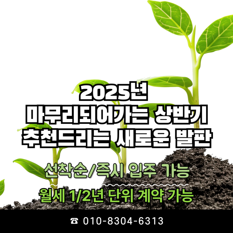  [ 다세권(多/다이소) ] 2025년 상반기/하반기 전남 광양/여수시 추천