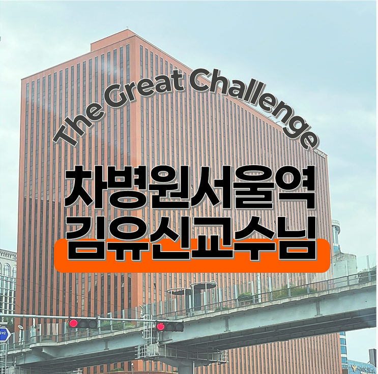  서울역차병원 김유신교수님 진료후기｜과배란주사+초음파 방문기록 (2탄)