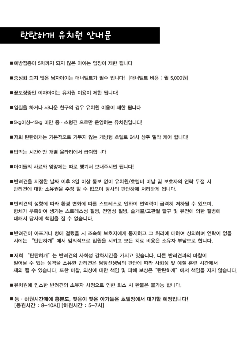 사진 2