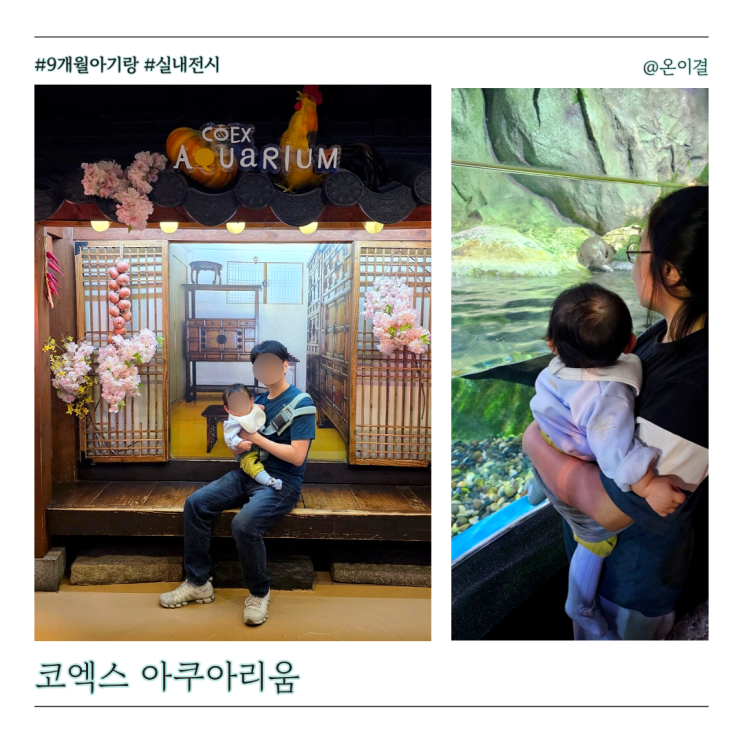  9개월 아기와 여름 실내 여행지 코엑스 아쿠아리움 수유실 위치 주차 편한 곳