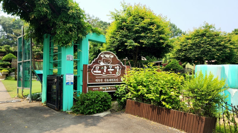 파주시 아기랑 목장체험 '모산목장'
