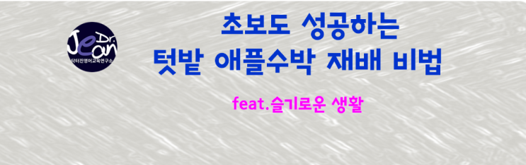  초보도 성공하는 텃밭 애플수박 재배 비법