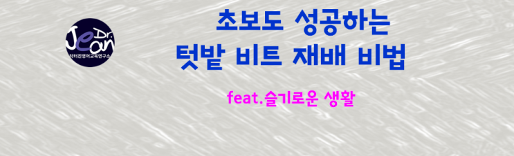  초보도 쉽게 성공하는 텃밭 비트 재배법
