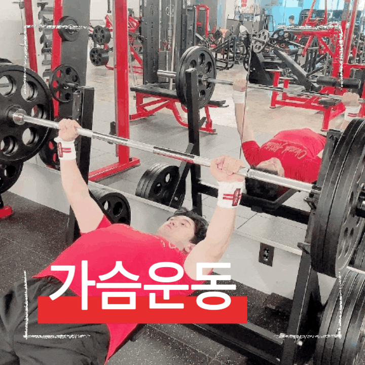  헬스 초보 입문자도 알기 쉬운 벤치프레스 운동 핵심 포인트
